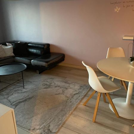 Superbe Appartement Avec Place De Parking Gratuit Страсбург Екстериор снимка