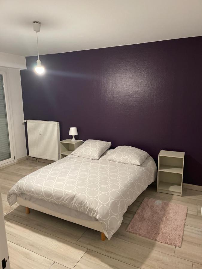 Superbe Appartement Avec Place De Parking Gratuit Страсбург Екстериор снимка